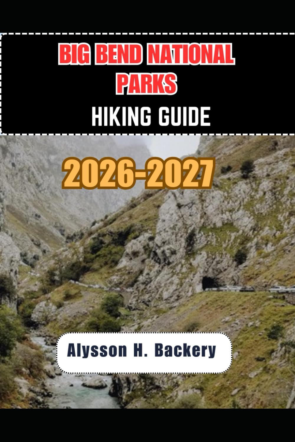 BIG BEND NATIONAL PARK HIKING GUIDE: 43 (TrailWise 2025 Hiking Edition)