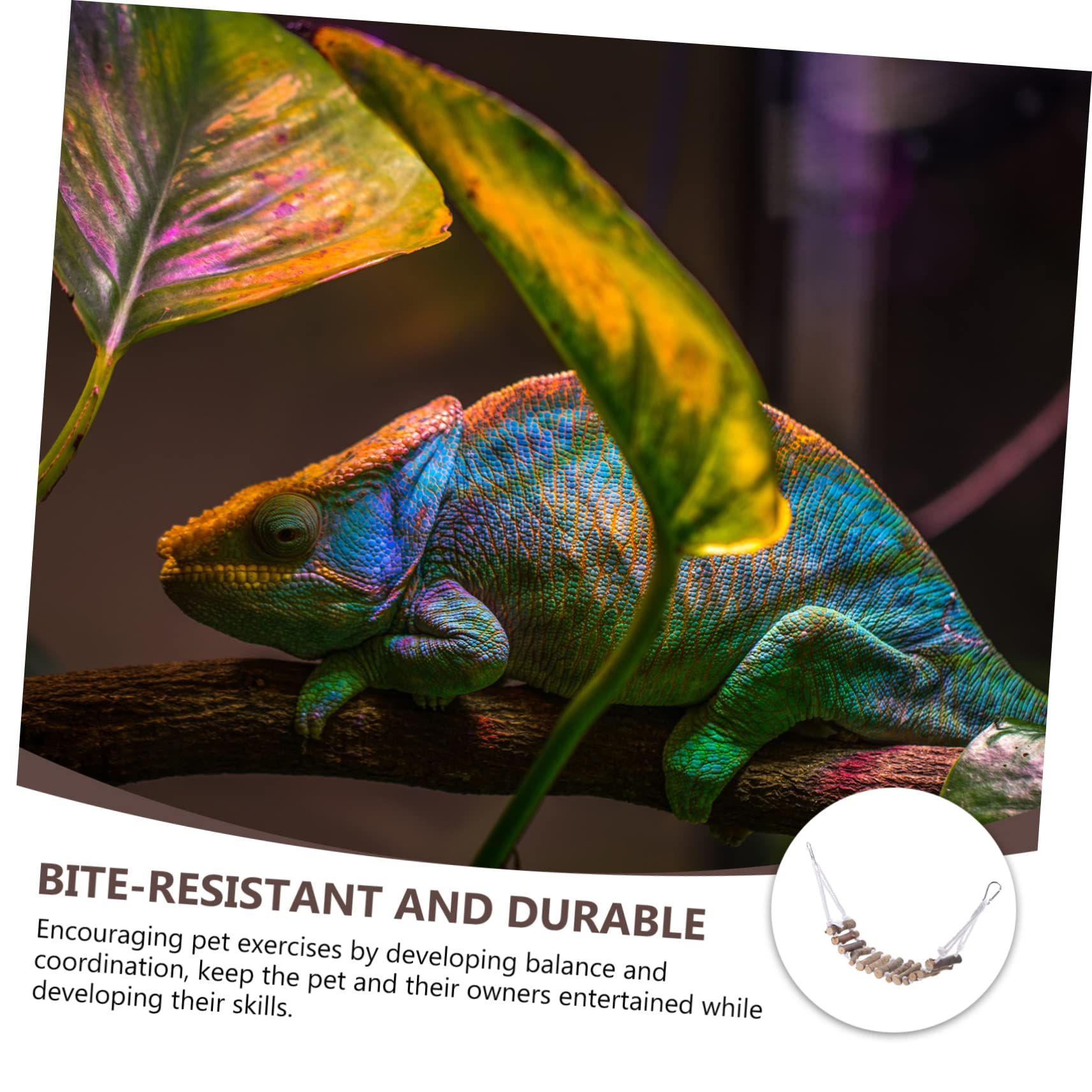 POPETPOP 2pezzi Decorativo Per Rettili Appesa Per Lucertole Accessorio Per Habitat Rettili Per Chameleonti e