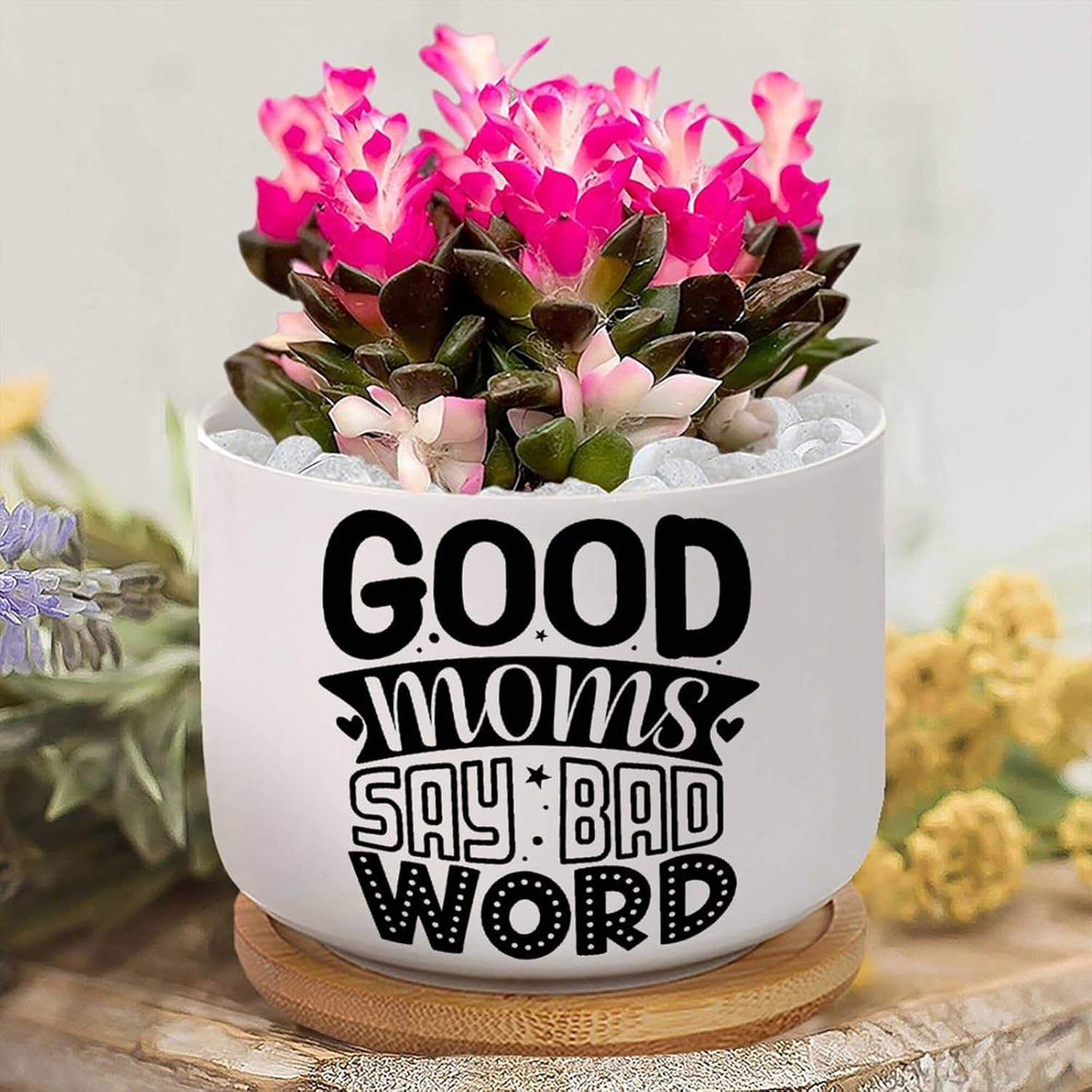 3 Piece Happy Mother's Day Garden Decor Succulent Pot Good Moms Say Bad Word Small Plant Pot Ceramic with Drainage Mother's Day Quote Mom Quotes Ceramic Planters