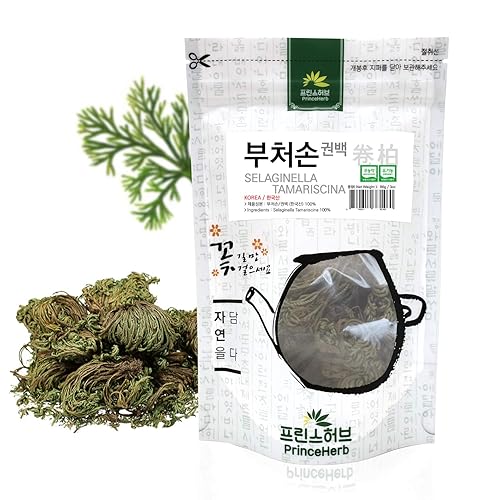 Hierba Coreana Medicinal Selaginella Tamariscina (musgo de espigaJuanbai& # x02014 & # x0201D & # x0201c4)