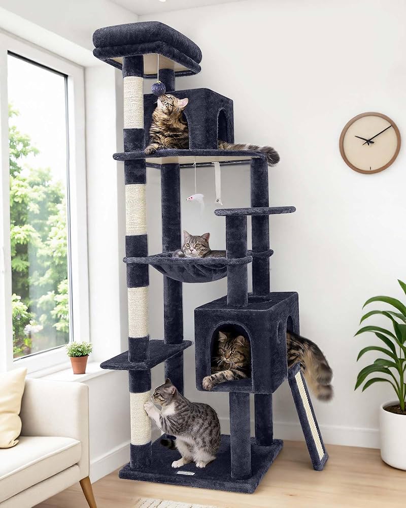 Amazon.com : Globlazer Heavy Duty Cat Tree, 70 inch Sturdy Cat Amazon.com : Globlazer Heavy Duty Cat Tree, 70 inch Sturdy Cat