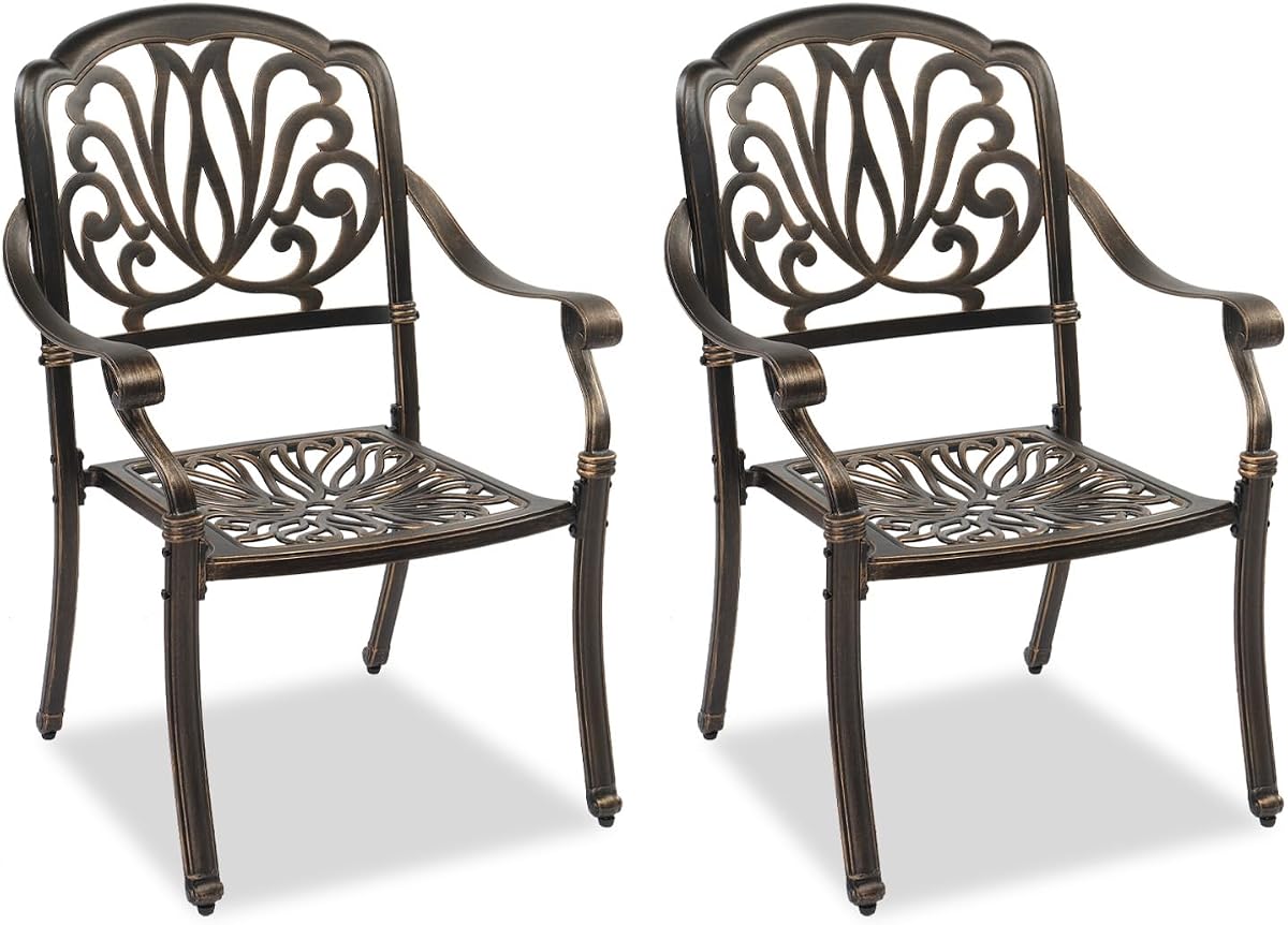 VINGLI Juego de 2 sillas de patio, sillas de comedor de aluminio fundido para exteriores, sillones de metal para piscina, patio trasero, balcón (2, respaldo Elizabeth sin cojín)