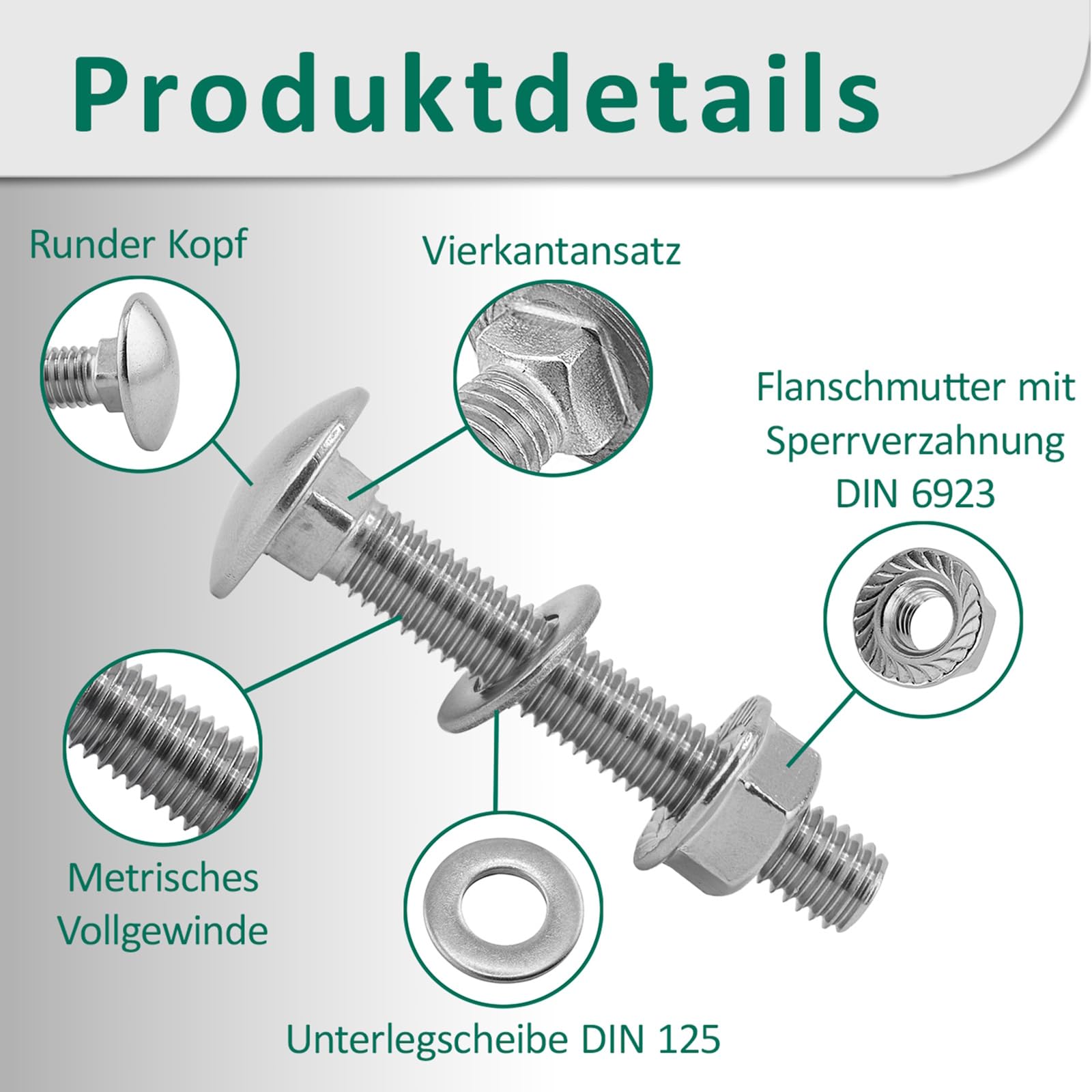 DSM – śruby zamkowe M12 x 25 mm zgodnie z DIN 603 – nakrętka kołnierzowa M12 z zębami blokującymi DIN 6923 i podkładką DIN 125 – stal nierdzewna A2/V2A – śruby z łbem płaskim – nakrętka sześciokątna