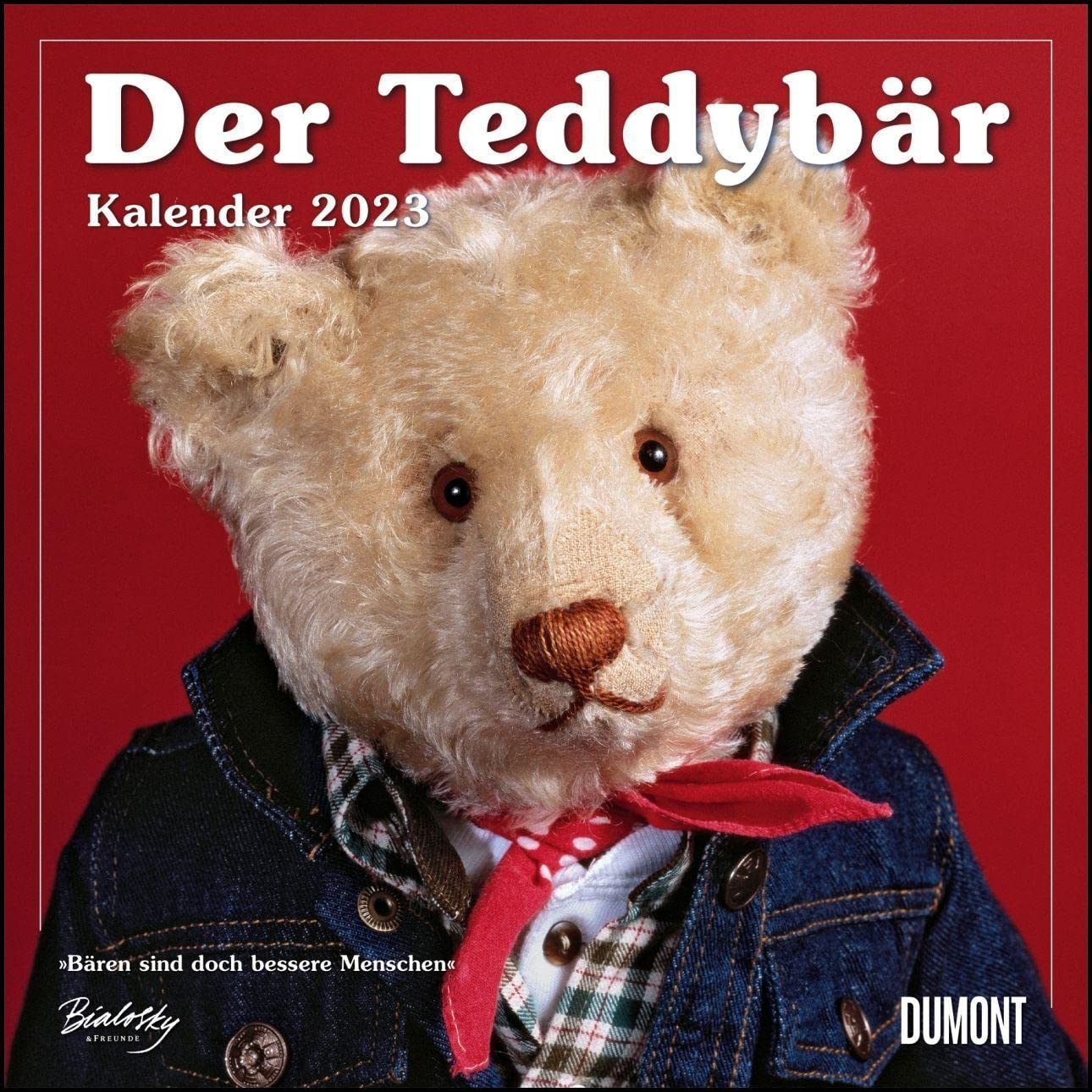 The Teddy Bear 2023 Brochure Calendar Wall Calendar Format 30 x 30 cm