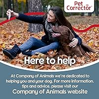 Vista 5 de Corrector para perros The Company of Animals (paquete de 4), 50ml