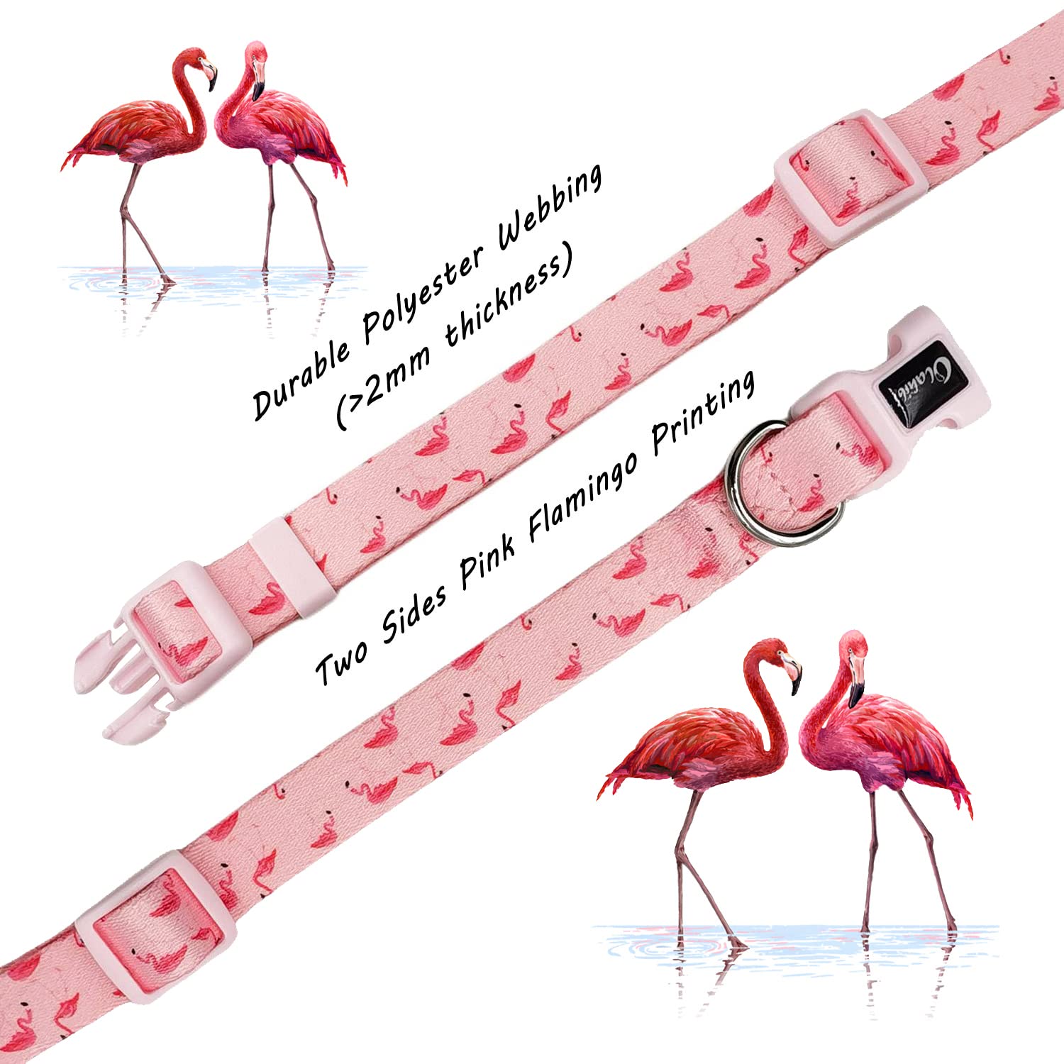 Olahibi Dog Collar Leash Combo Set, Flamingo Pattern, Polyester Webbing, Collar and 150CM Matching Leash - Image 4