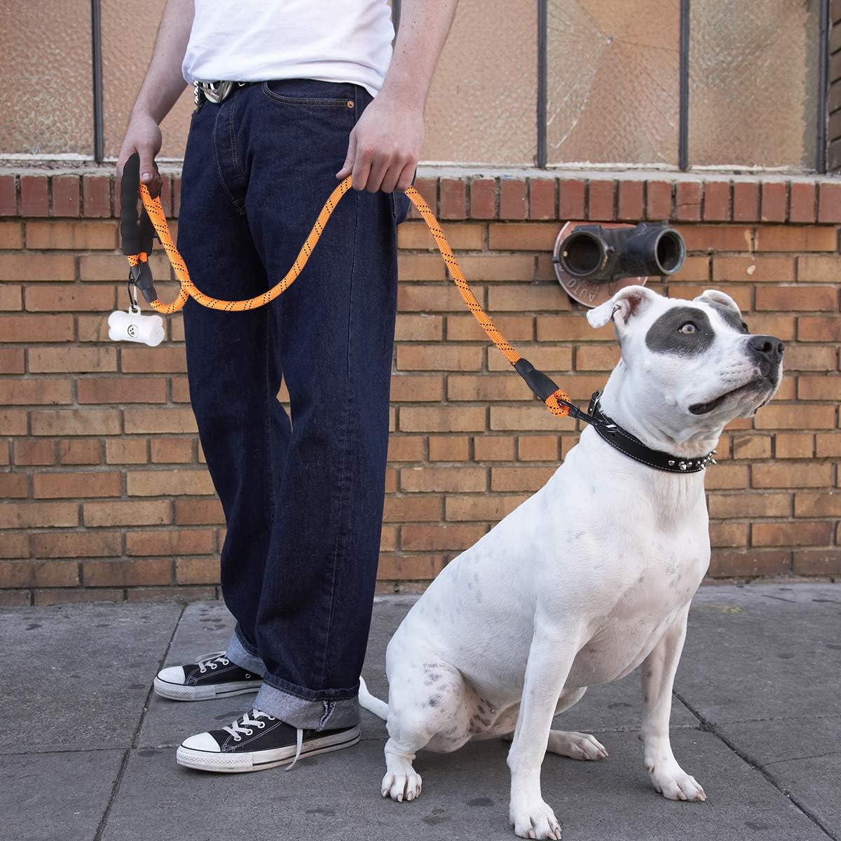 Bolux 5ft Strong Dog Leash with Comfortable Padded Handle, Highly Reflective Threads and Heavy Duty Training Durable Nylon Dog Leash for Medium Large Dogs