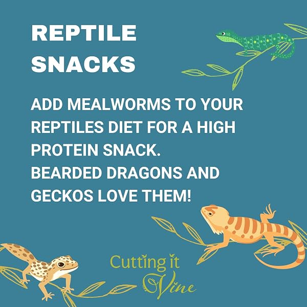 Dried Mealworms - Wild Bird Food 5L Reuseable Bucket (5L Tub) - 2