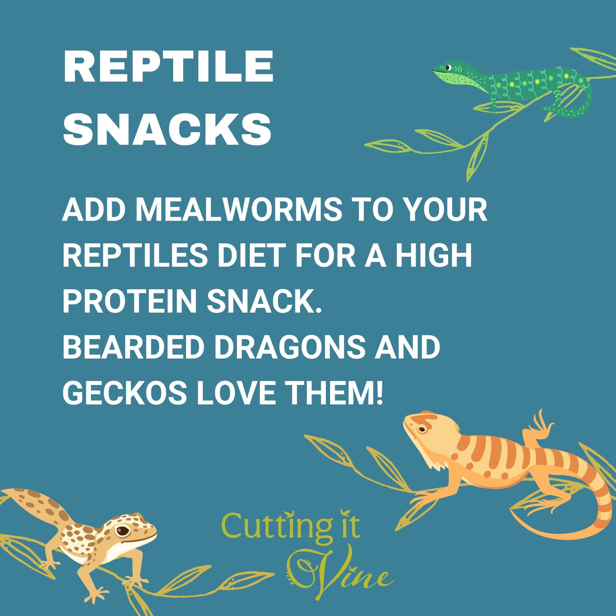 Dried Mealworms - Wild Bird Food 5L Reuseable Bucket (5L Tub) - 2