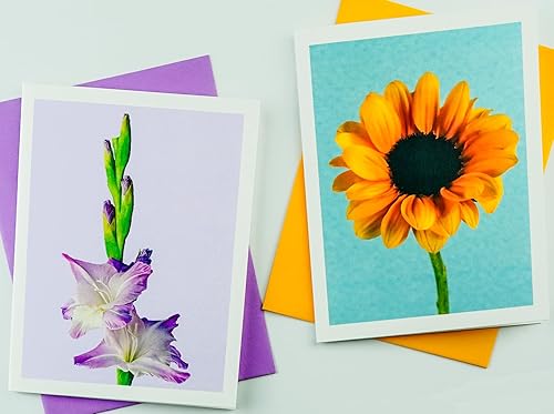 Miniatura 161 de Blooming Flowers – Orquídea Phalaenopsis – Tarjetas fotográficas de alta gama, pesadas y suaves, 8 con 10 sobres de colores, juego en caja