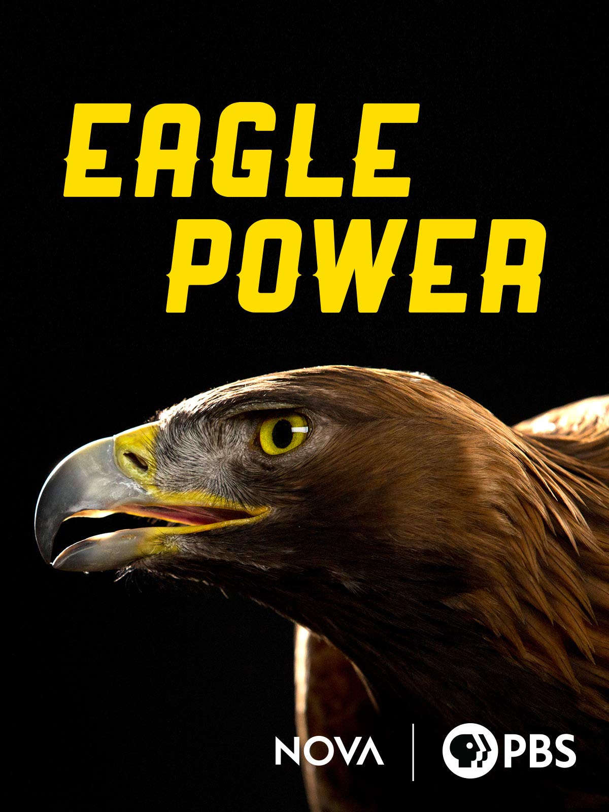 Eagle Power