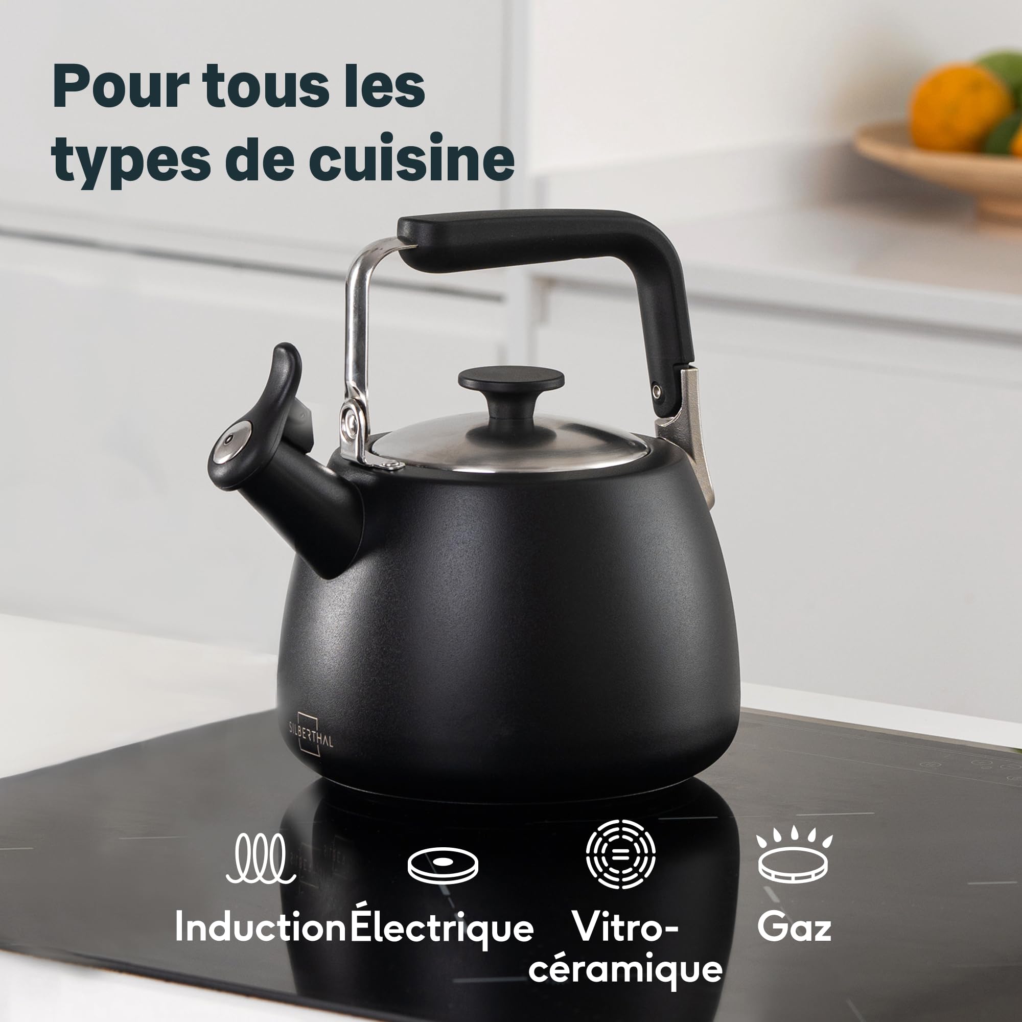 Silberthal Bouilloire à induction 2,8 l sifflante en acier inoxydable - Bouilloire pour camping - Noir