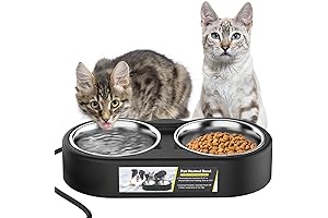 Heated Water Bowl for Outdoor Cats: A Winter Essential for Happy and Hydrated Pets