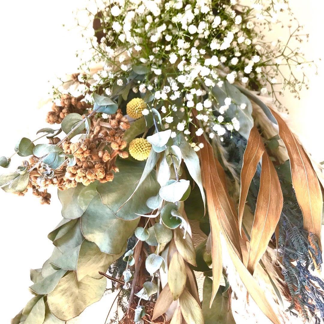 無農薬ハーブ グレビレアゴールド&bull;パンパスグラスの大型スワッグ クラスペディア