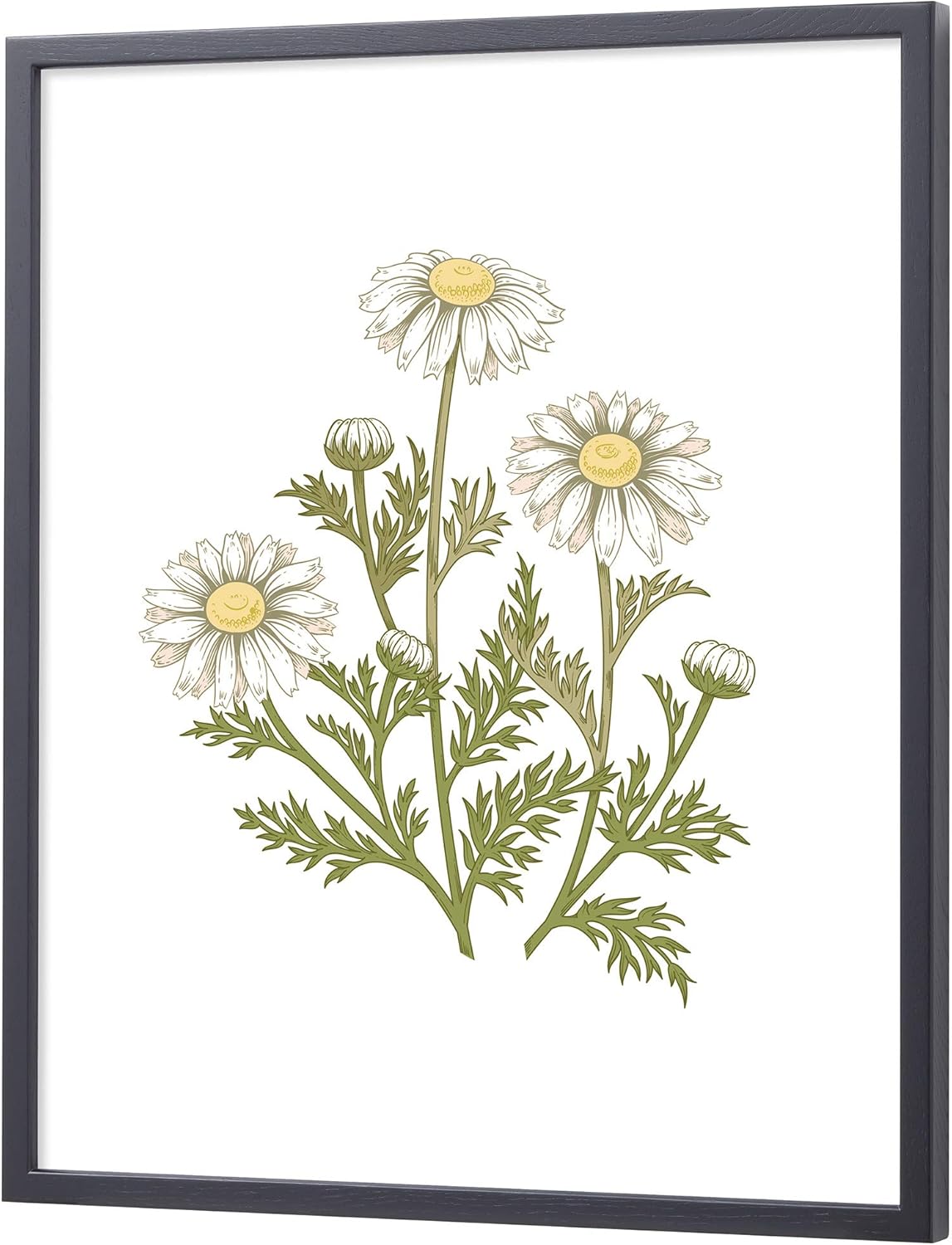 Larson Jules Japan D816 black acrylic cutting into eight parts D816402 (japan import) by Larson Jules Japan (Similar no same)