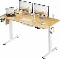 SANODESK E150 120×60 電動昇降デスク スタンディングデスク FlexiSpot デスク 昇降 Sanodesk E150 電動昇降デスク パソコン