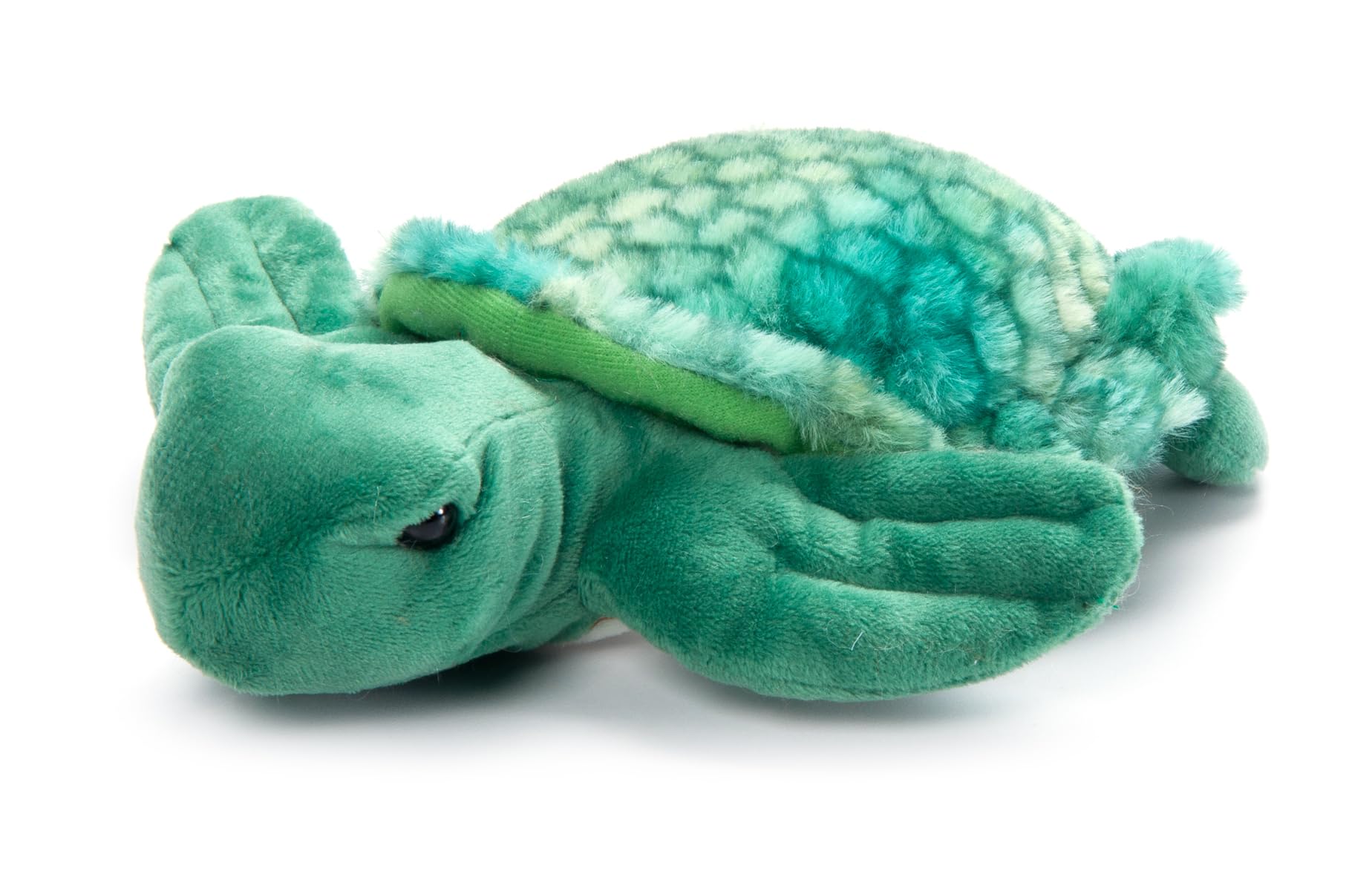 The Petting Zoo Sea Turtle Stuffed Animal Plushie, Gifts for Kids, Scoopz Sealife Animals, Green Tortoise Plush Toy 8 Inches