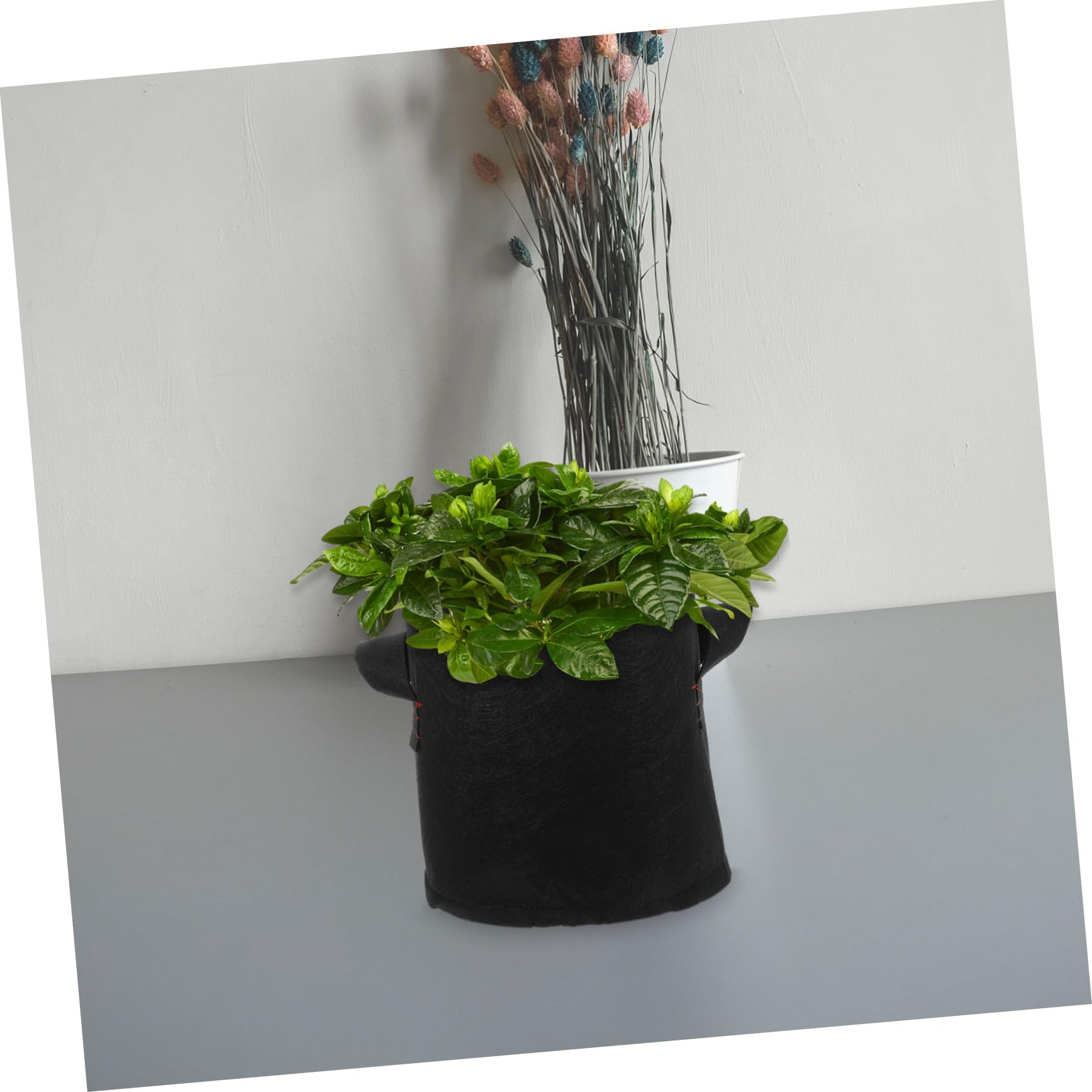 12 Pièces Lot Culture Tissu Non Tissé Épais avec Poignées Sacs de Jardinage Respirants pour Pommes de Terre Tomates Fleurs et Légumes Noirs