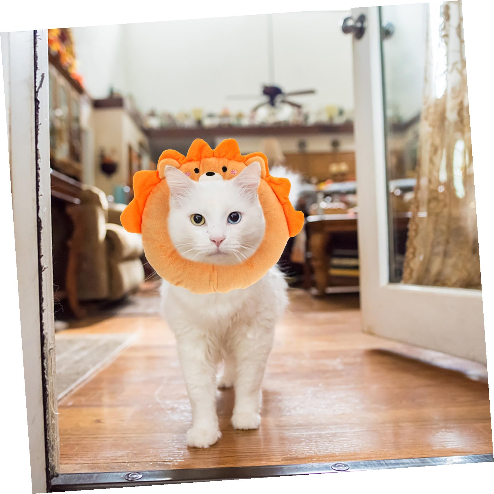 FRCOLOR 3pezzi Collare Per Gatti Forma Di Cartone Animale Protezione Post-operatoria Per Ferite e Confortevole Per Cani e Gatti Piccoli