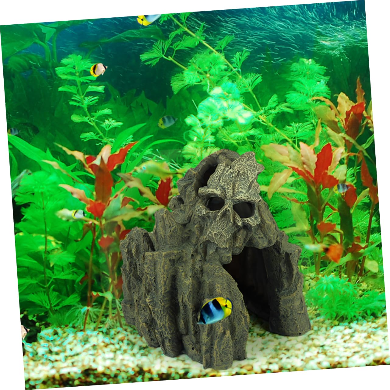 BESPORTBLE Décoration Colline pour Aquarium Crâne Résine Cachette Poissons Et Crevettes