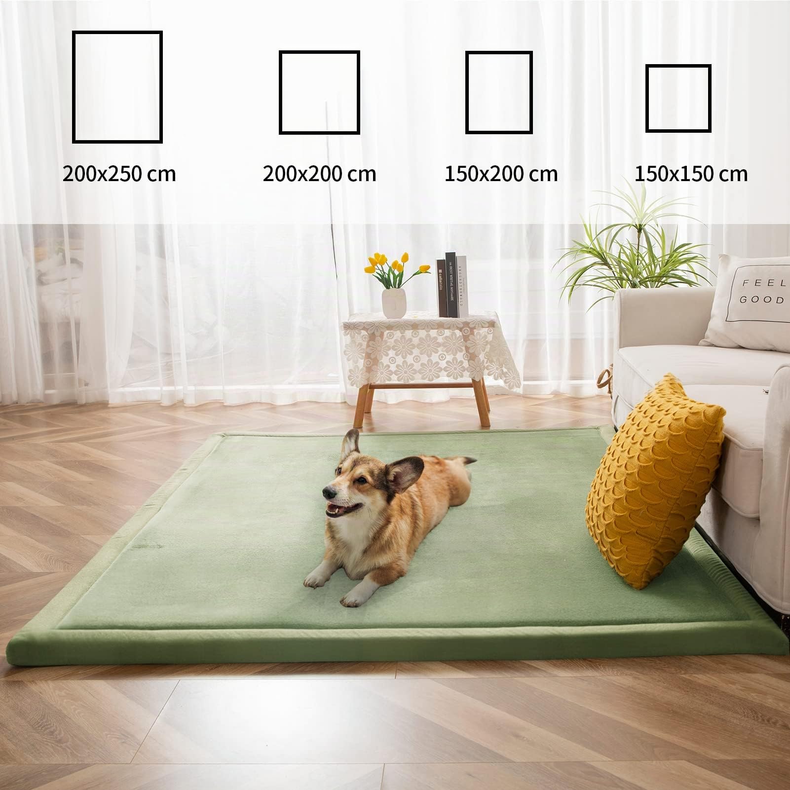 BYBYME Tapis en velours, corail épais, extra épais, 3 cm, antidérapant, pour enfants et bébés, tapis d'éveil doux (vert clair, 200 × 200 cm)