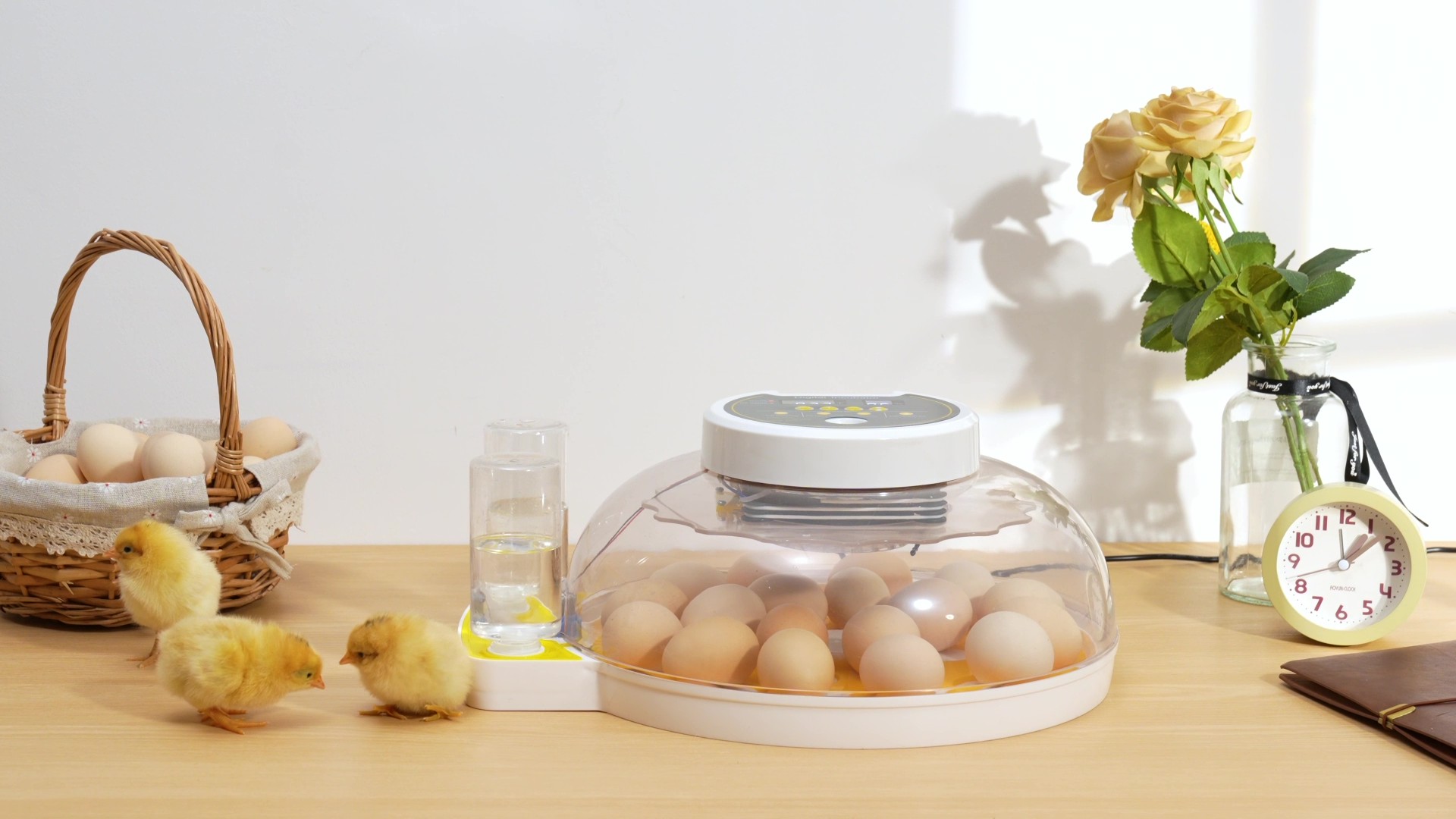 Amazon.com: 18 Egg Incubator with Automatic Egg Turning and