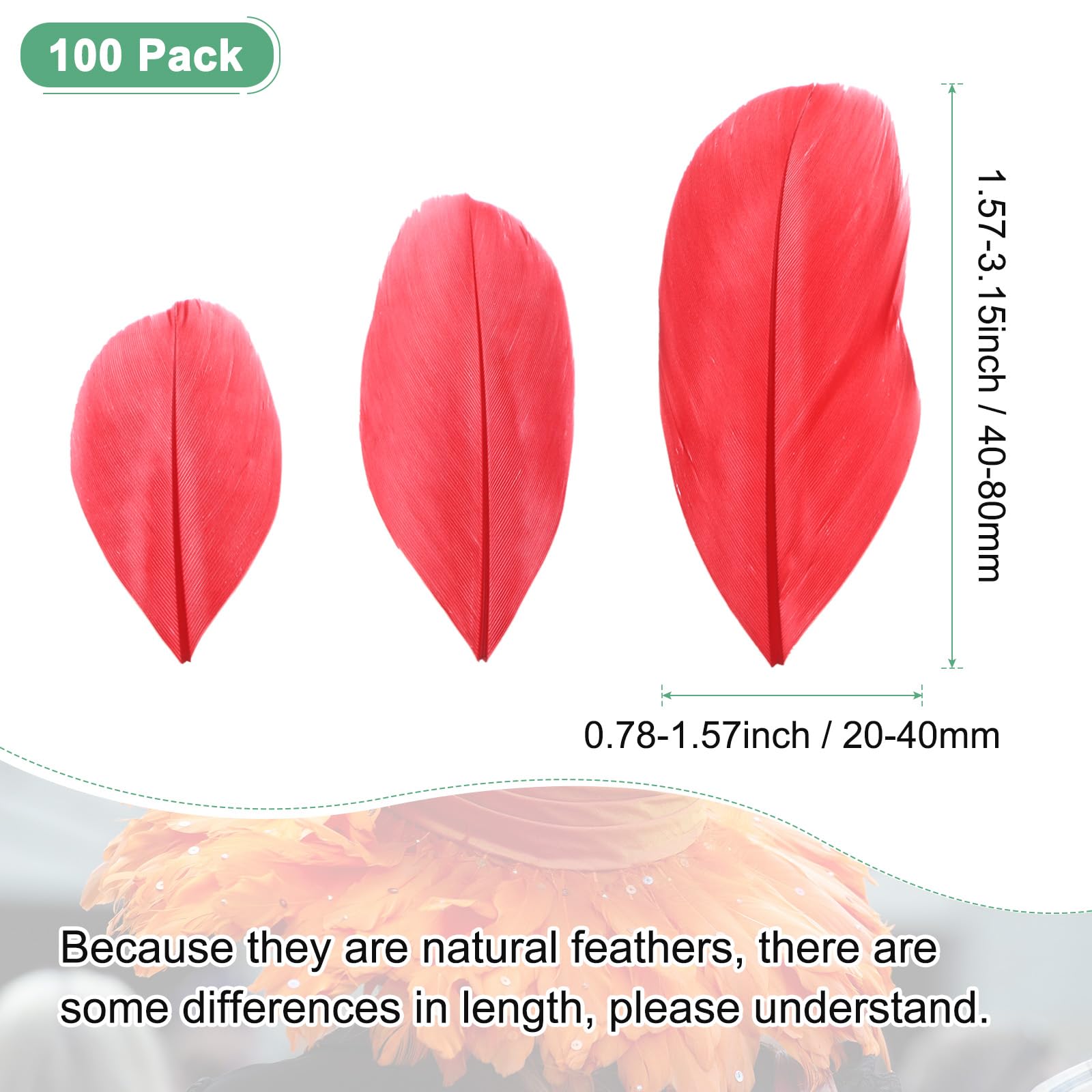 M METERXITY 100-Pack Goose Feathers - Image 3