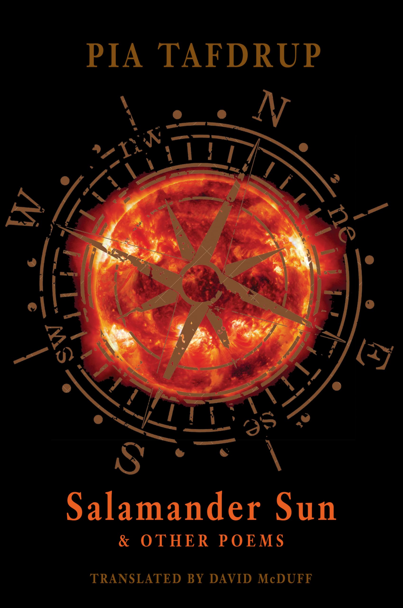 Salamander Sun and Other Poems by Pia Tafdrup PAPERBACK 9781780371504