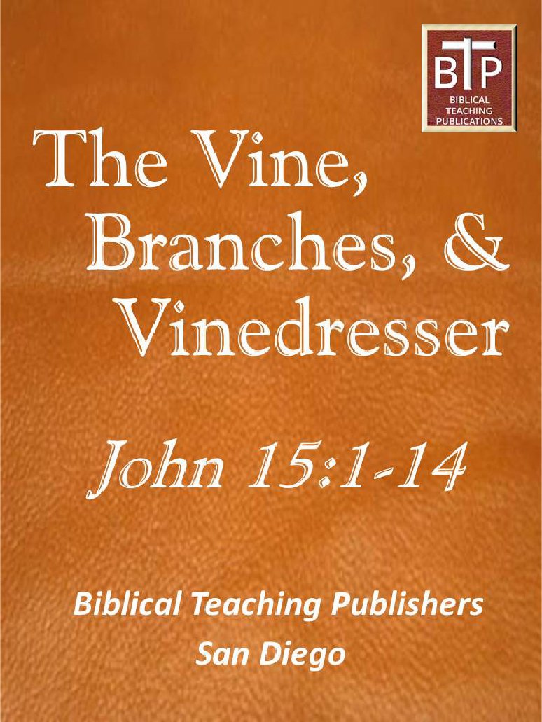 Vine, Branches, and Vinedresser (John 1517 Hysteresis Book 2) Kindle