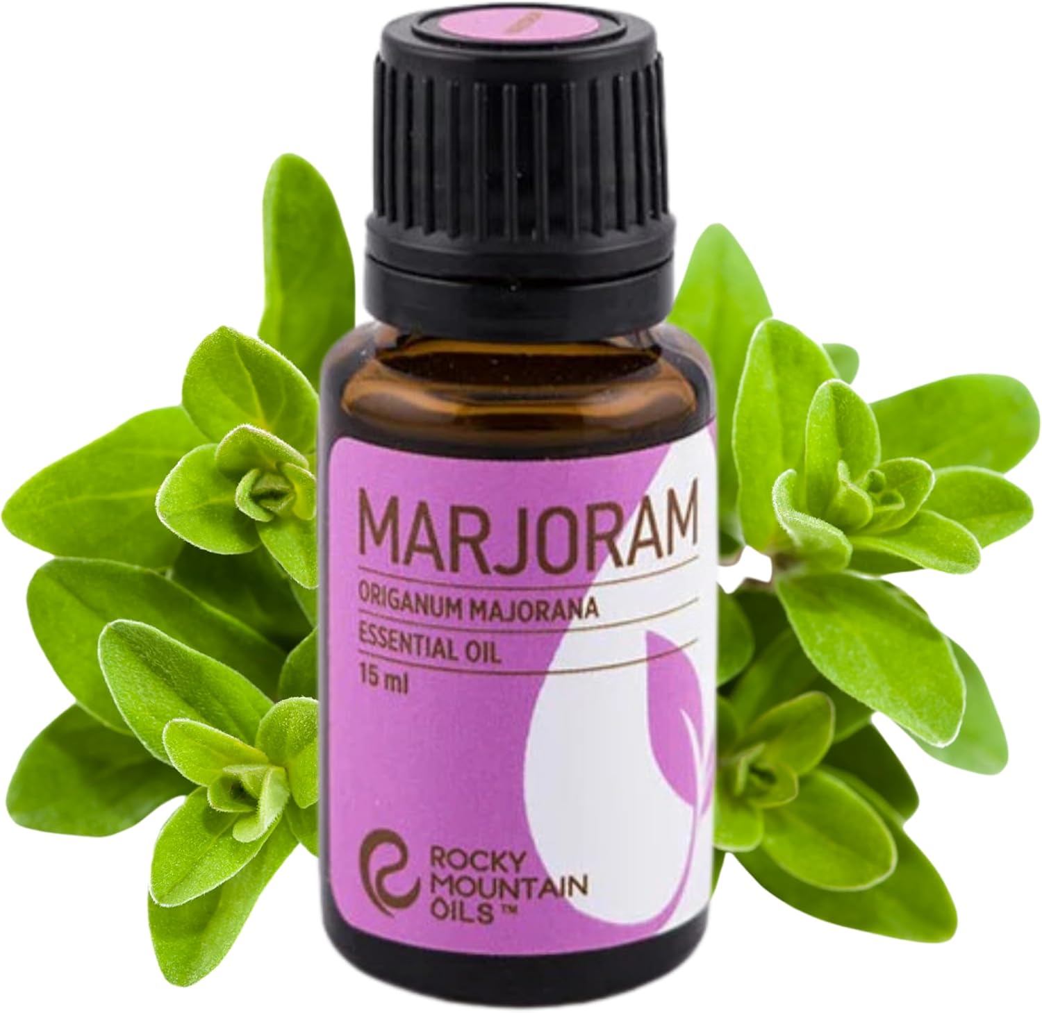 Rocky Mountain Oils Sweet Marjoram Essential Oi 15 ml - 100% Pure and Natural Aromatherapy Diffuser Oil Perfect for Hotel, Spa, Sleep Diffuser Oil