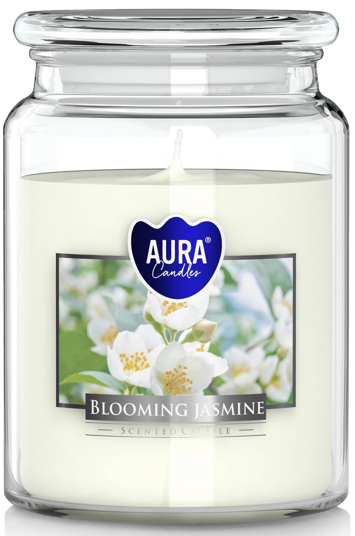 LARGE Scented Candle in Jar AURA 100H Flowering JASMINE