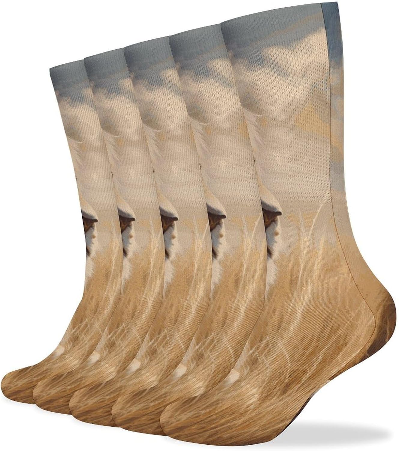 Prairie Lion Knee High Socks Cozy Knee High Socks Soft Mid-Length Sock for All Seasons Daily Wear Adult