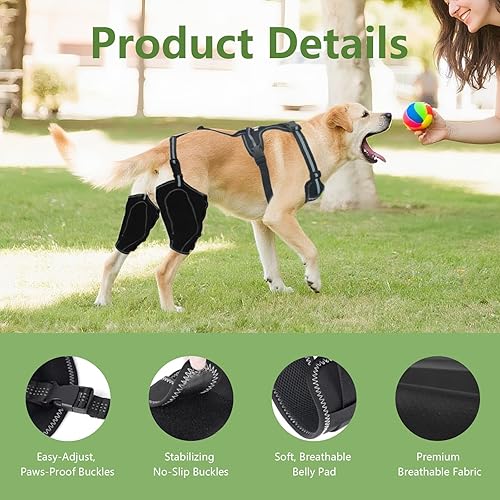 Miniatura 4 de Rodillera ajustable para perro para ambas patas traseras, soporte de AclCcl y alivio de rótula luxante, soporte de lesiones de ligamento cruzado con