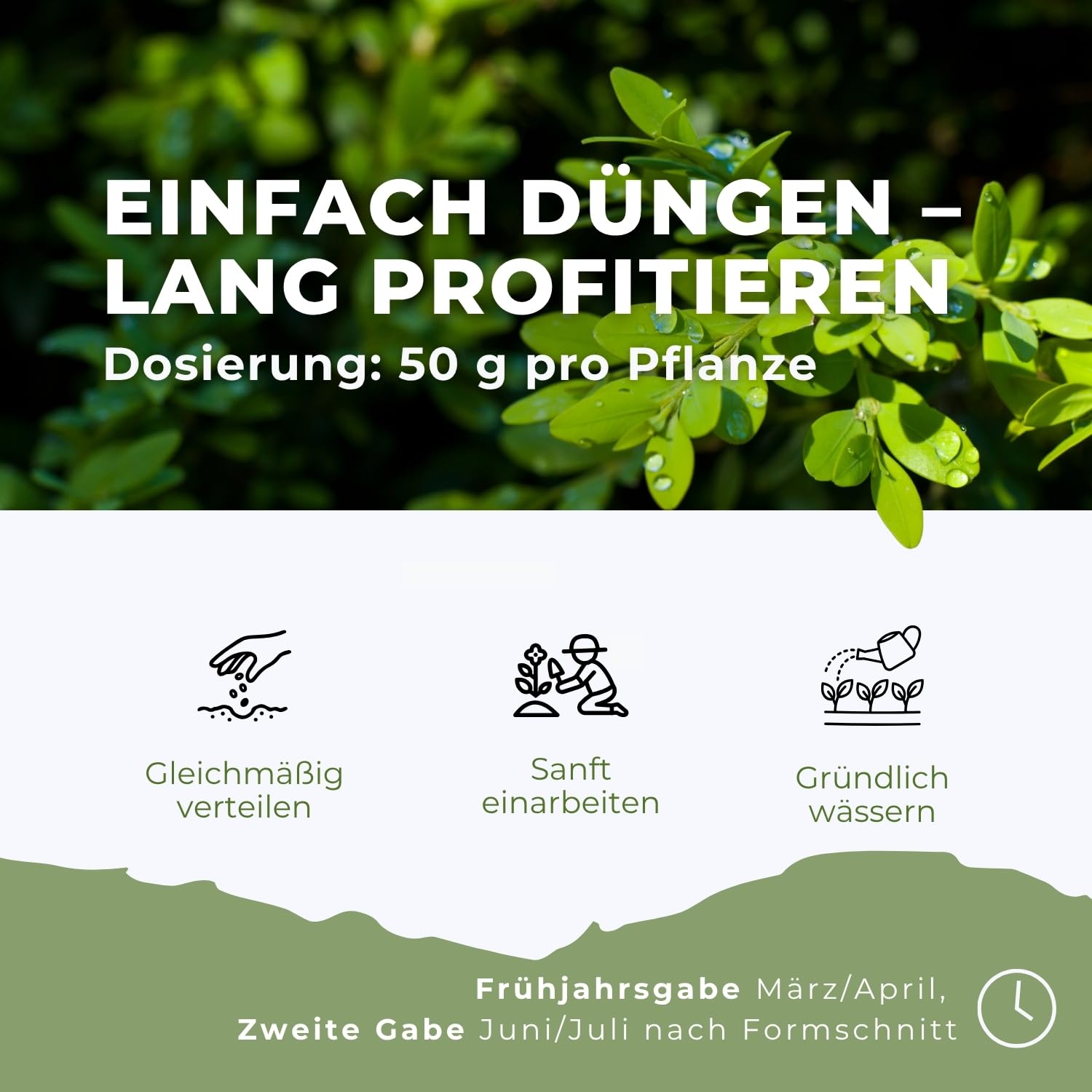 Flora Boost PRO Buchsbaum Dünger mit Langzeitwirkung, 5KG Granulat