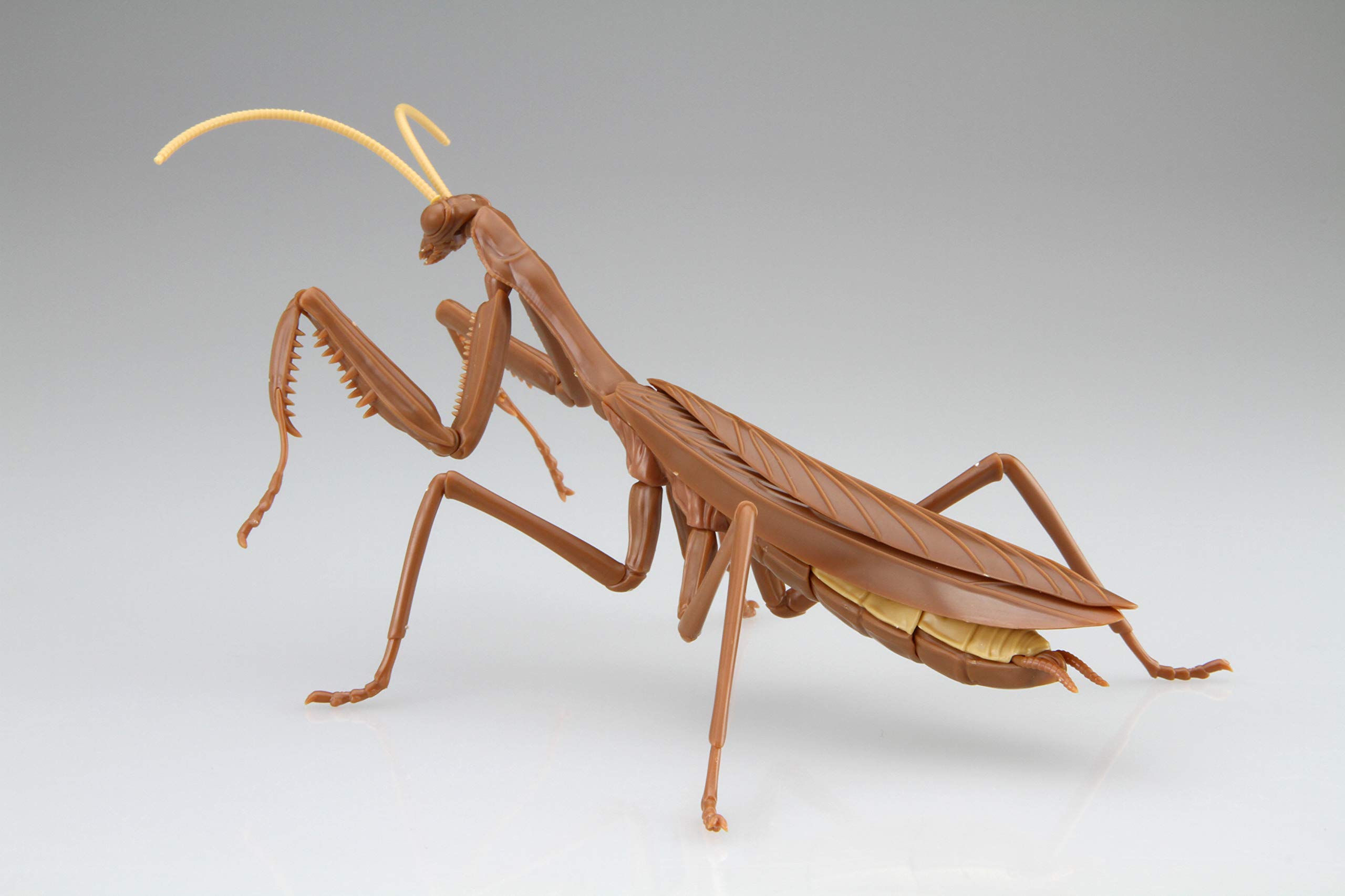 【希少】フジミ模型 自由研究23EX-1 いきもの編 オオカマキリ(茶色) 自由研究23EX-1 いきもの編 オオカマキリ(茶色)｜自由研究