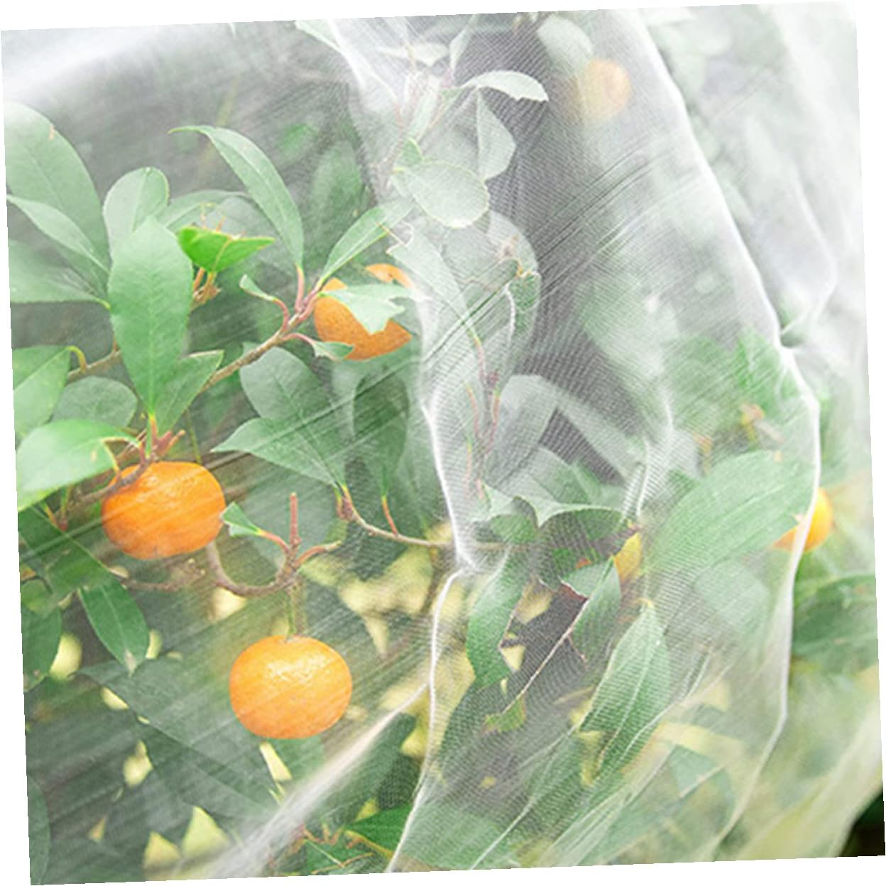 Hemobllo Malla de Protección para Jardín Malla Fina Antipájaros para Plantas para Huerto Resistente UV y Ligera para Frutas y Vegetales