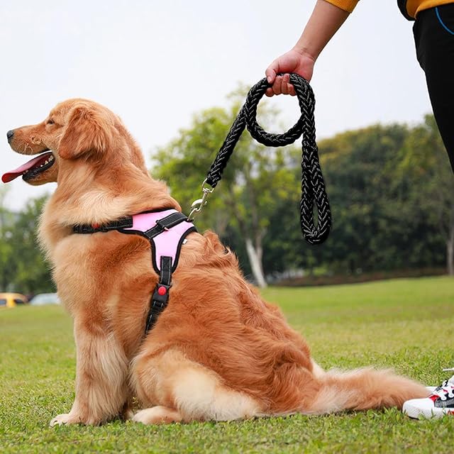 Foto 4 de 6 de CHROMACRAFT Correa Trenza Sólida, Accesorios de Viaje para Mascotas, Correa Duradera (Negro)