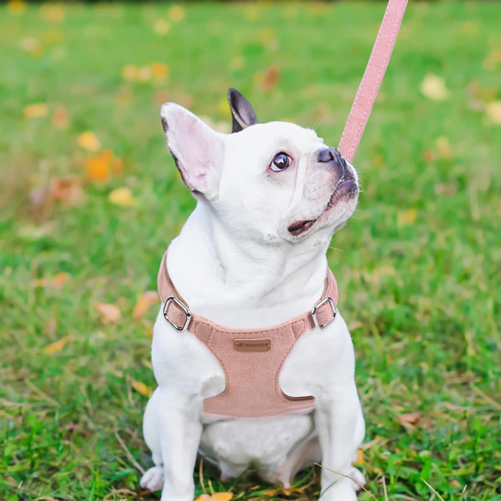 No Pull s Pettorina per cani con guinzaglio e collare multifunzione, rosa, S