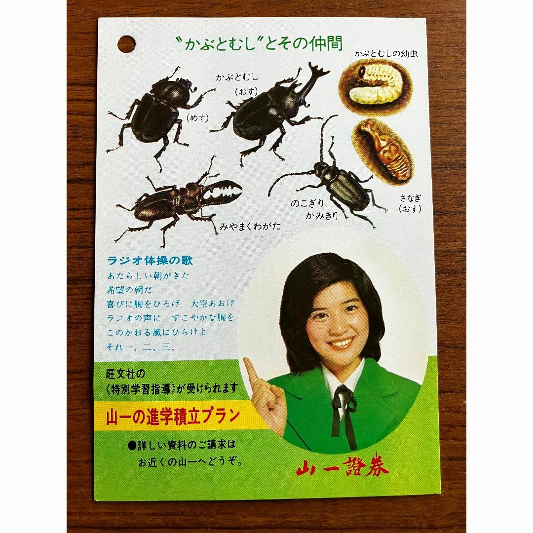 Amazon.co.jp: 超昭和50年 桜田淳子 ラジオ体操カード : おもちゃ