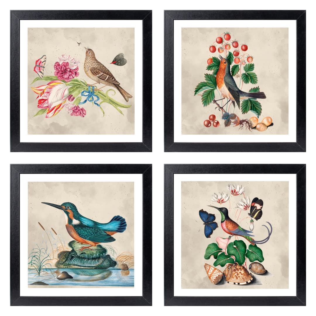 Kagaz Kala - Vintage Art Prints - Set of 4 Square Framed 8x8 Inch Paintings from Anna Blackburne for Home Decor and Wall Art - Vintage Artwork For Bedroom Living Room Decor Gifts Framed