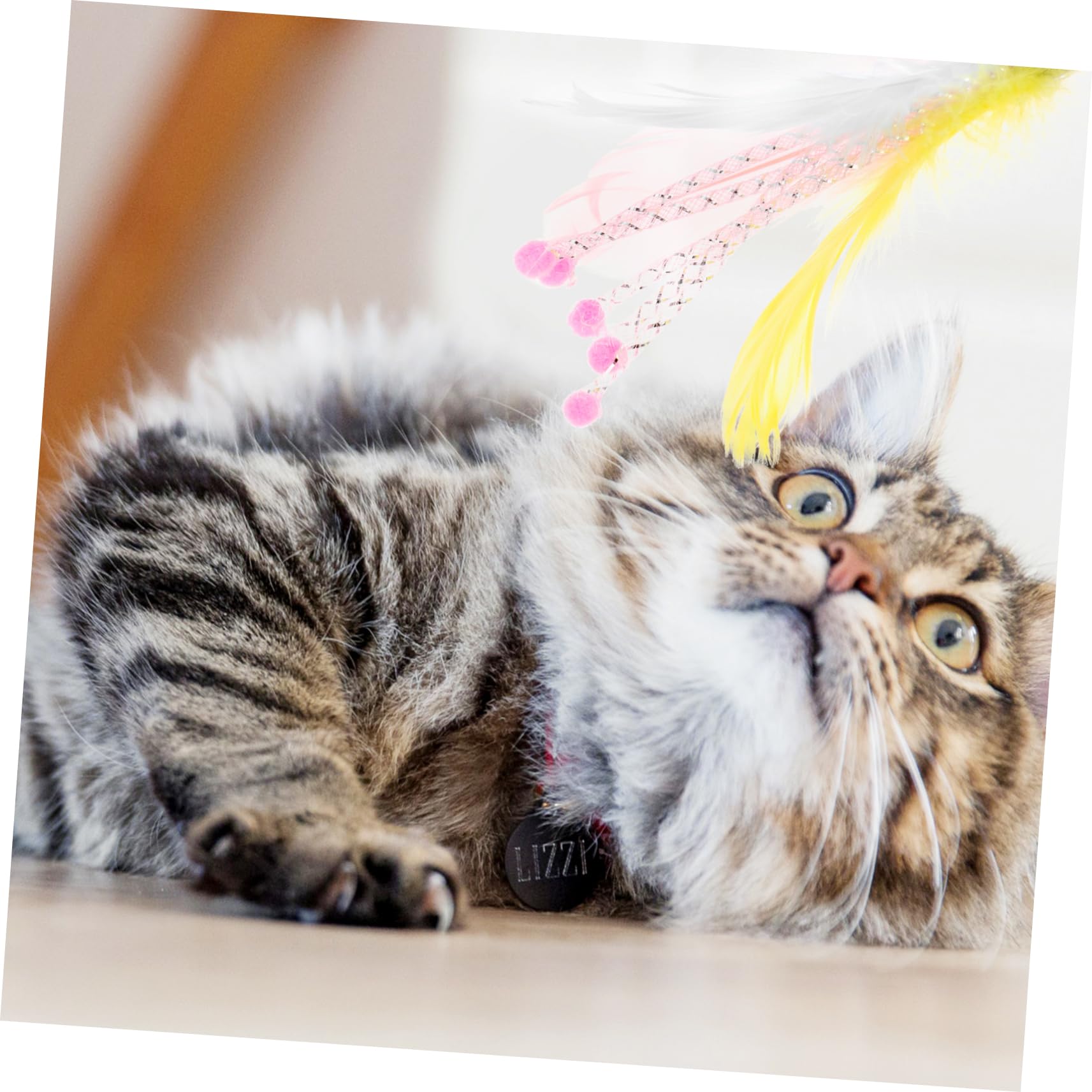 Happyyami 40pezzi Giocattoli Interattivi Per Gatti Con Piume Sostituibili Di Ricambi Per Cannette Da Gioco Sicuri e Resistenti Per Gioco e Interazione Con Tuo Felino
