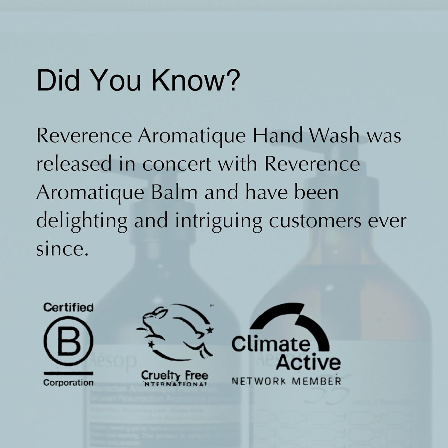 Aesop Reverence Exfoliating Hand Wash | Gentle Daily Exfoliating Cleanser with Bergamot & Vetiver Root to Renew & Smooth Skin | 500mL / 16.9oz - Image 6