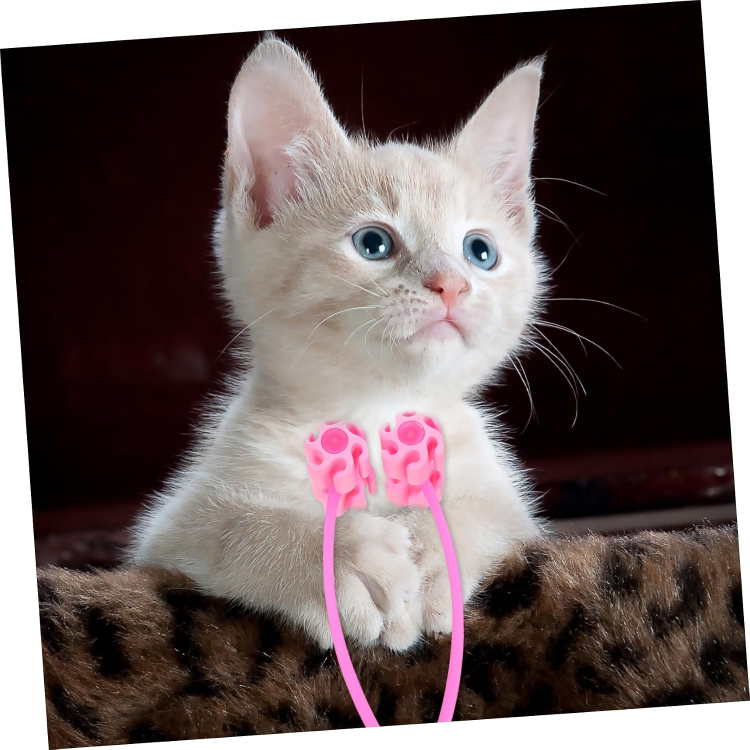 Cat Massage Roller for Kitty Neck Grooming with Smooth ABS Surface image 2