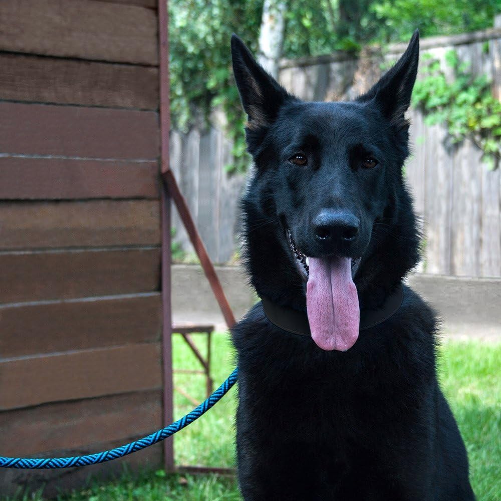 BRONZEDOG Dog Slip Lead 4ft Pet Rope Training Leash for Medium Large Dogs Black Blue Pink Grey Green Red (Pink)