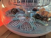 Review Image by Craig Collins Craig Collins