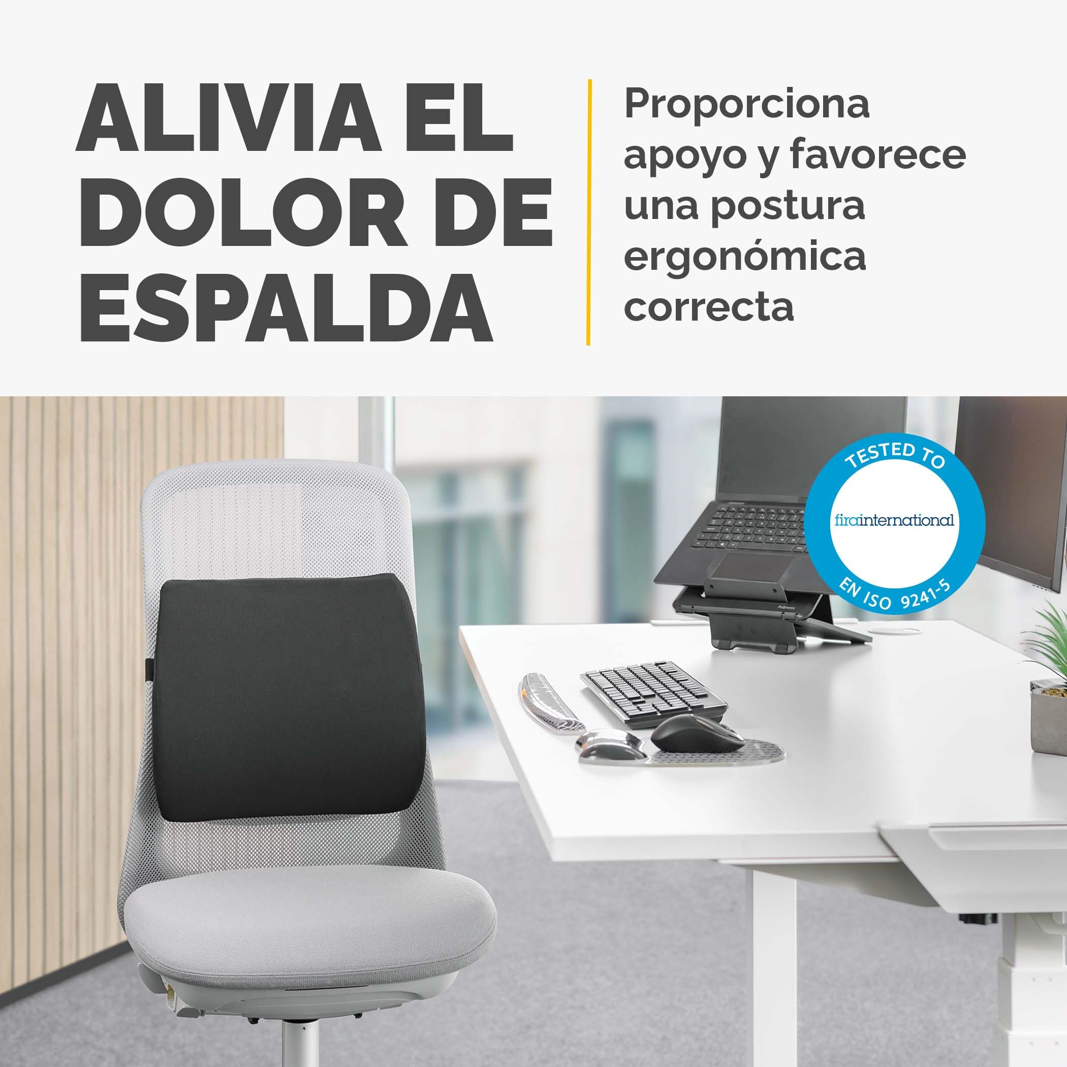Fellowes Respaldo Comfort Breyta - Soporte ergonómico, Ajustable, portátil, ecológico, con asa y 5 años de garantía. Ideal para Oficina y hogar.