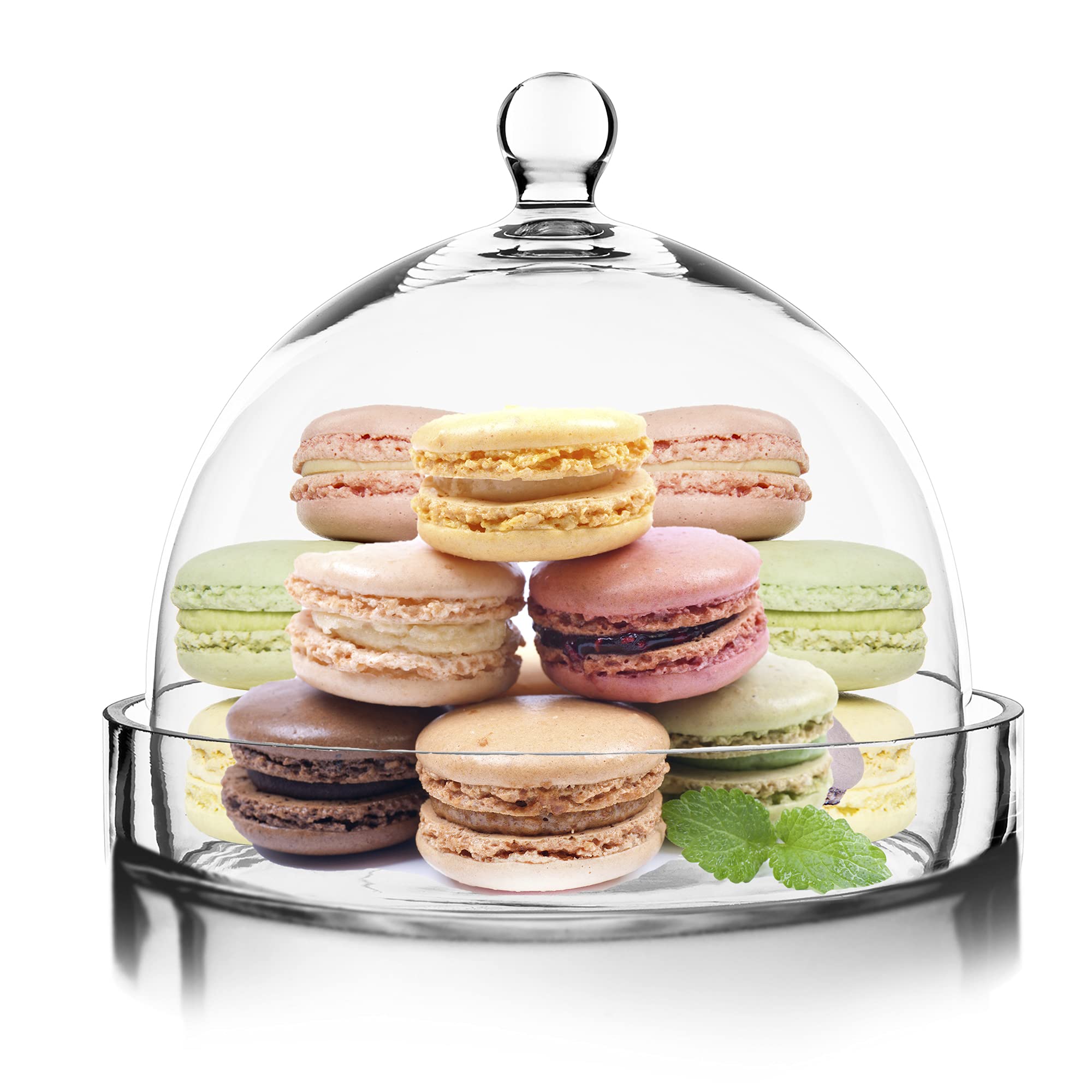 CYS EXCEL Glass Bell Dome Cloche With Glass Base (H:8.5
