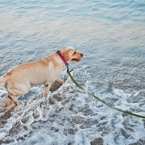 Miniatura 8 de Wolfone Correa de entrenamiento resistente y resistente para perros de 9.8 ft con mango antideslizante, correa larga impermeable para perros para