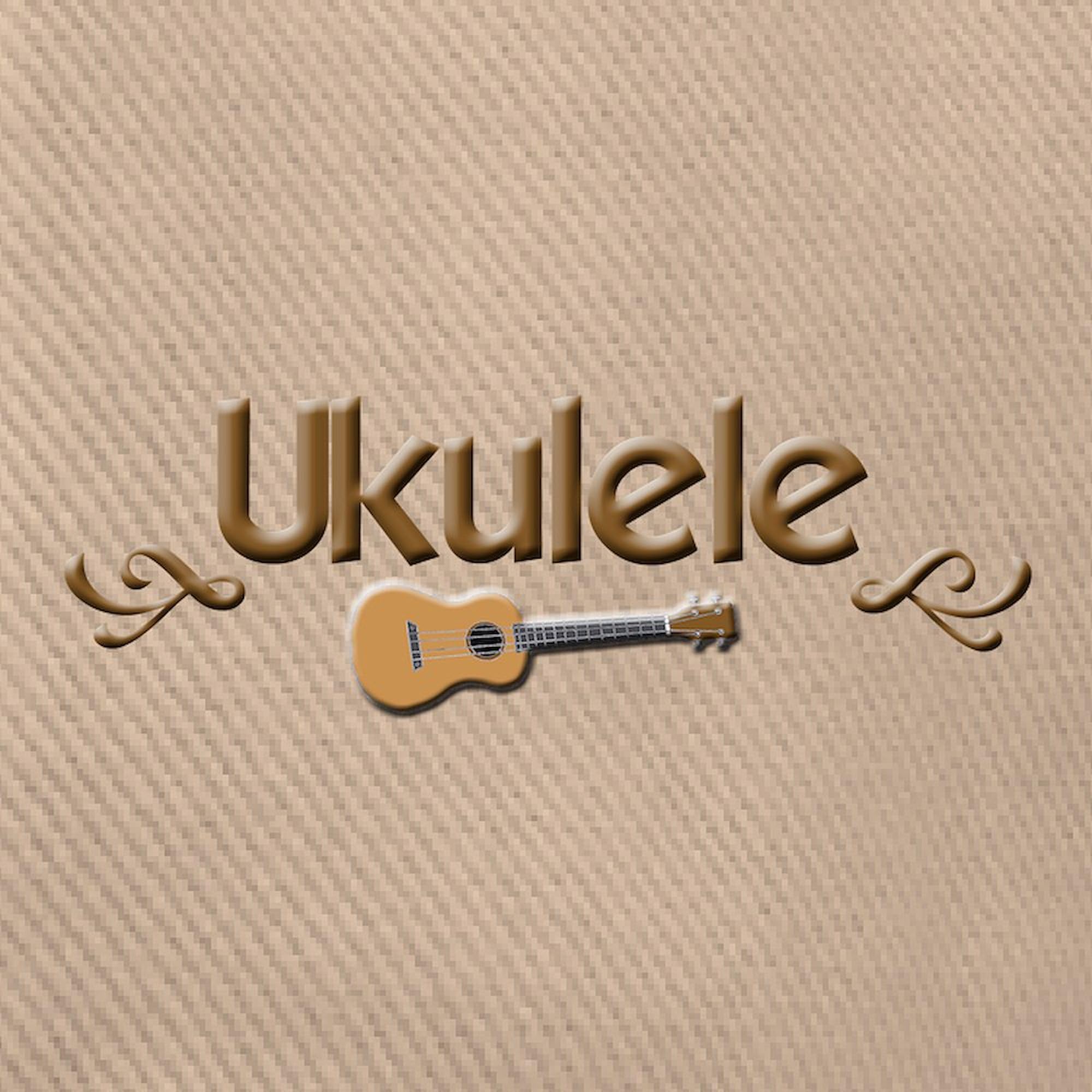 DSY Lifestyle Cat Dad Unisex Beanie Hat - Cat Lover Beanie (Black)