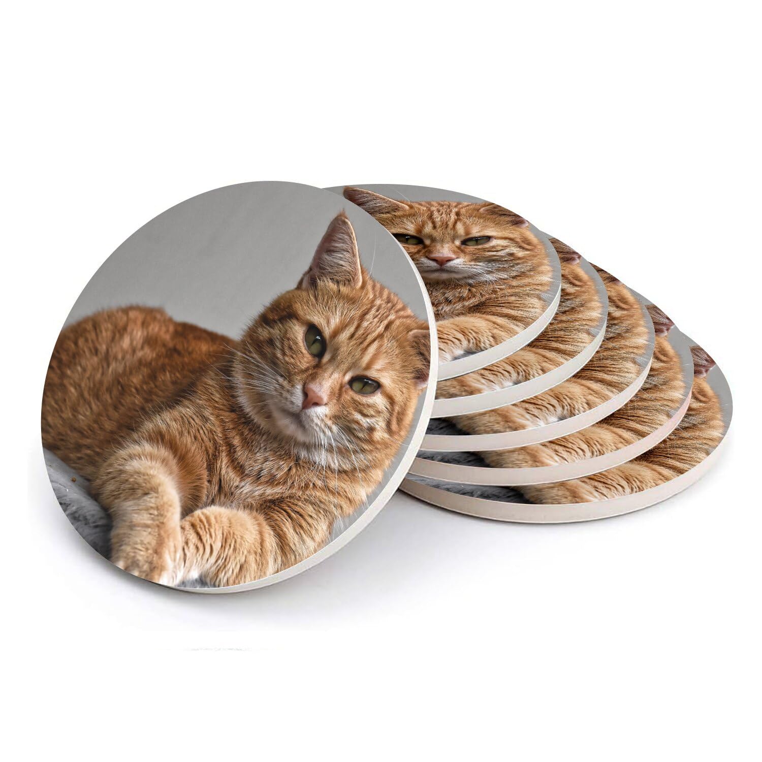 Sous-verre céramique absorbant chat roux : protège vos tables des taches de verre